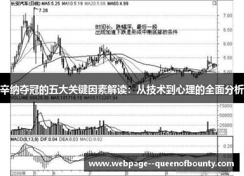 辛纳夺冠的五大关键因素解读:从技术到心理的全面分析 辛纳夺冠的五大关键因素解读:从技术到心理的全面分析
