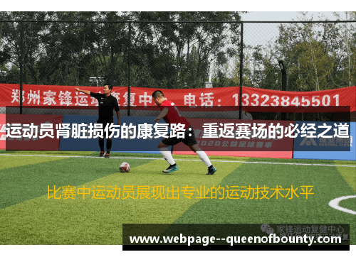 运动员肾脏损伤的康复路：重返赛场的必经之道