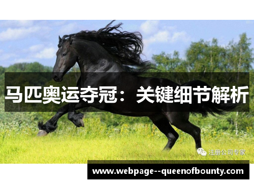 马匹奥运夺冠:关键细节解析 马匹奥运夺冠:关键细节解析